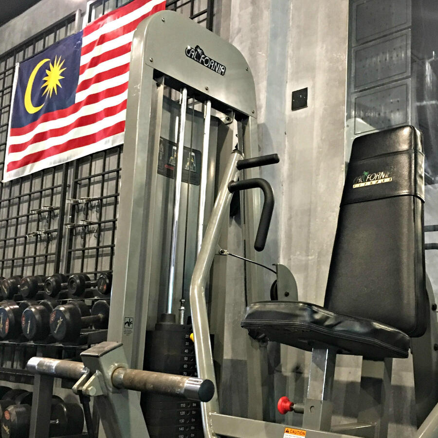 Chest Press